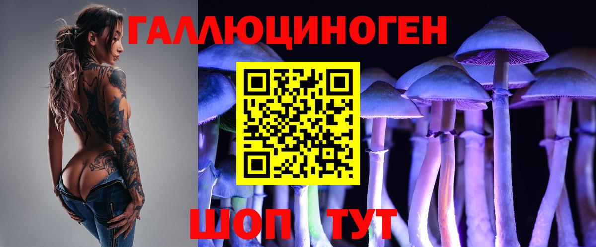 Галлюциногенные грибы Psilocybe  где купить наркоту  Вход с VPN  Саяногорск  Псилоцибиновые грибы мухоморы 